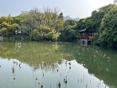 -西湖公园(鼓楼区)
