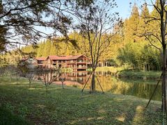 -黄海国家森林公园