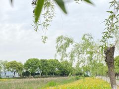 -艾溪湖湿地公园