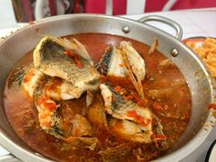 -风鑫铃罗非鱼(道沟店)