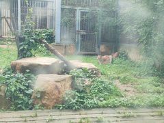 -上方山森林动物世界