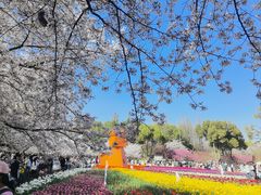 -苏州上方山国家森林公园