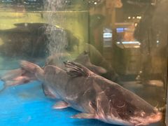-耕渔小院·湖南鱼鲜(望城店)