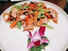 炒牛肝菌-紫滇源云南生态菜(丹凤街店)