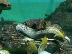 -北戴河圣蓝海洋公园