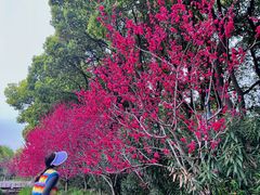 -圩墩遗址公园