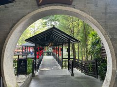 -侨美·唐荔园·40年地道粤菜