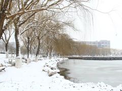 -山东师范大学(千佛山校区)