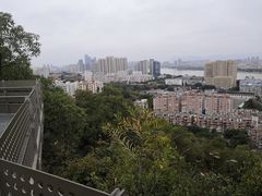 -福道