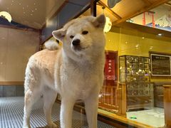 -大江户·温泉洗浴(浑南店)
