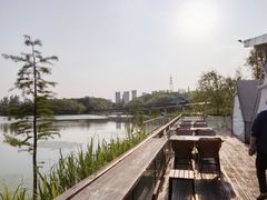 -昆山城市生态森林公园