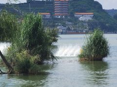 -捞渔河湿地公园