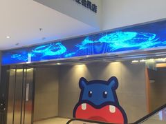 -盒马鲜生(大成店)