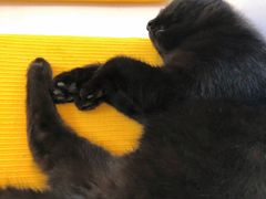 -五进制 Coffee Shop