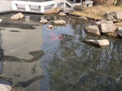 iphone_upload_pic-铁像寺