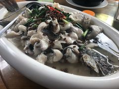 -杨厝六十六农庄农舍(杨厝路店)