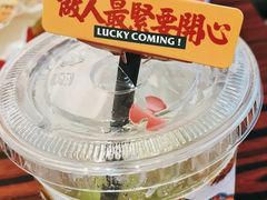-沙胆彪炭炉牛杂煲(成都玉林店)