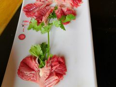 -一斗火锅·招财羊毛肚(北温泉九号店)