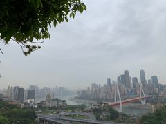 -南山植物园