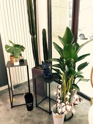 -Priscilla皮肤管理中心