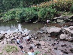 -重庆彩云湖湿地公园
