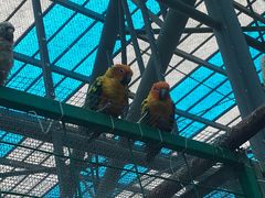 -南京金牛湖风景区