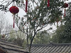 -青城甲(青城山店)