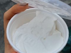 -洪馨椰子