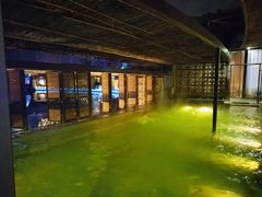 -春晖园度假酒店温泉