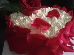 -维尔纳斯·生日蛋糕·动物奶油冰淇淋蛋糕(六里桥店)