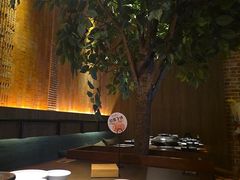 -同仁四季椰子鸡(宝安壹方城店)