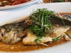 -顺峰(农展馆店)