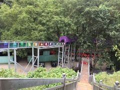 -大围山峡谷漂流