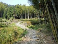 -仙霞关景区