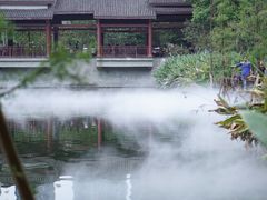 -重庆彩云湖湿地公园