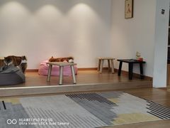 -南京Hallo宠物乐园·哈罗犬舍·柴犬繁育基地