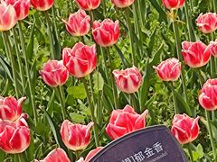 -国家植物园