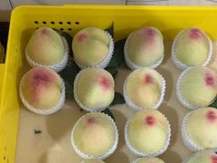 -老袁家蜜桃农场·阳山水蜜桃