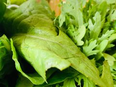 -北门涮肉·炭火铜锅涮肉(什刹海店)