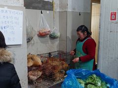 -科巷菜场