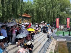 -白洋淀景区