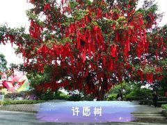 -广州市白云山风景名胜区