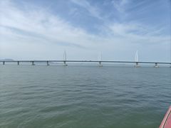 -港珠澳大桥(珠海段)