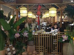 -探窝·竹笙椰子鸡(杨箕店)