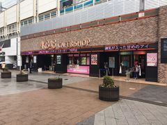 -秋叶原电器街