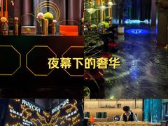 -索拉古贝(义乌北苑店)