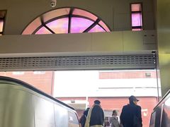 -范氏烧鸡公·甲鱼馆(郭徐岭广场店)