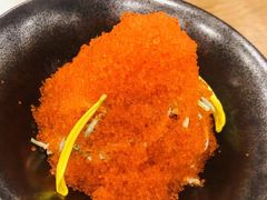 赤炙火山沙拉-赤稻·日式料理(禅城店)