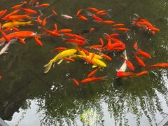 -东台西溪天仙缘景区
