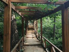 -大岭沟猕猴桃谷风景区